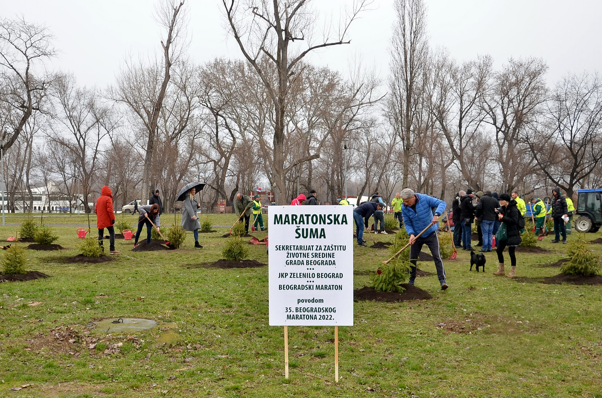 Sadnja ''Maratonske šume'', park Ušće 2022. - 16. februar;   Foto: Beogradski maraton/Filip Ištvanović